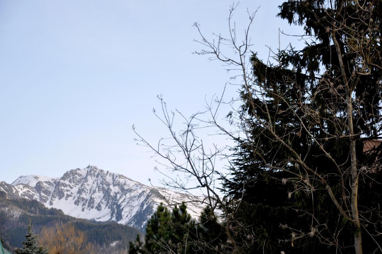 Willa Kozincowka Zakopane Exterior photo